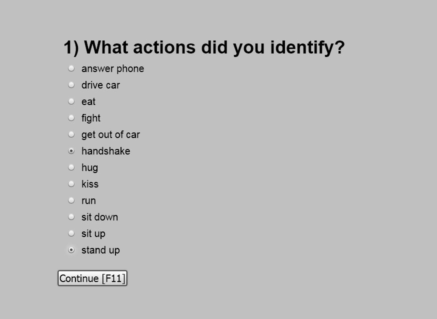 snapshot of the questionnaire screen